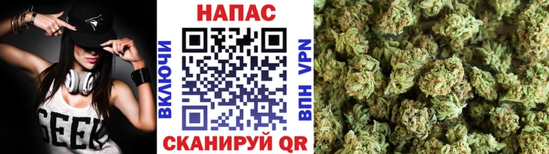 Канабис план  Купить где  Сертолово 